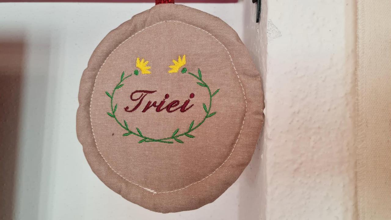Domu Irene - Triei Apartman Kültér fotó